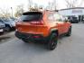 2014 ORANGE JEEP CHEROKEE TRAILHAWK (1C4PJMBS6EW) with an 3.2L engine, Automatic transmission, located at 830 E. Canino Rd., Houston, TX, 77037, (281) 405-0440, 38.358219, -81.729942 - Photo#4