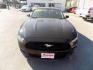 2016 BLACK FORD MUSTANG (1FA6P8TH5G5) with an 2.3L engine, Automatic transmission, located at 830 E. Canino Rd., Houston, TX, 77037, (281) 405-0440, 38.358219, -81.729942 - Photo#0