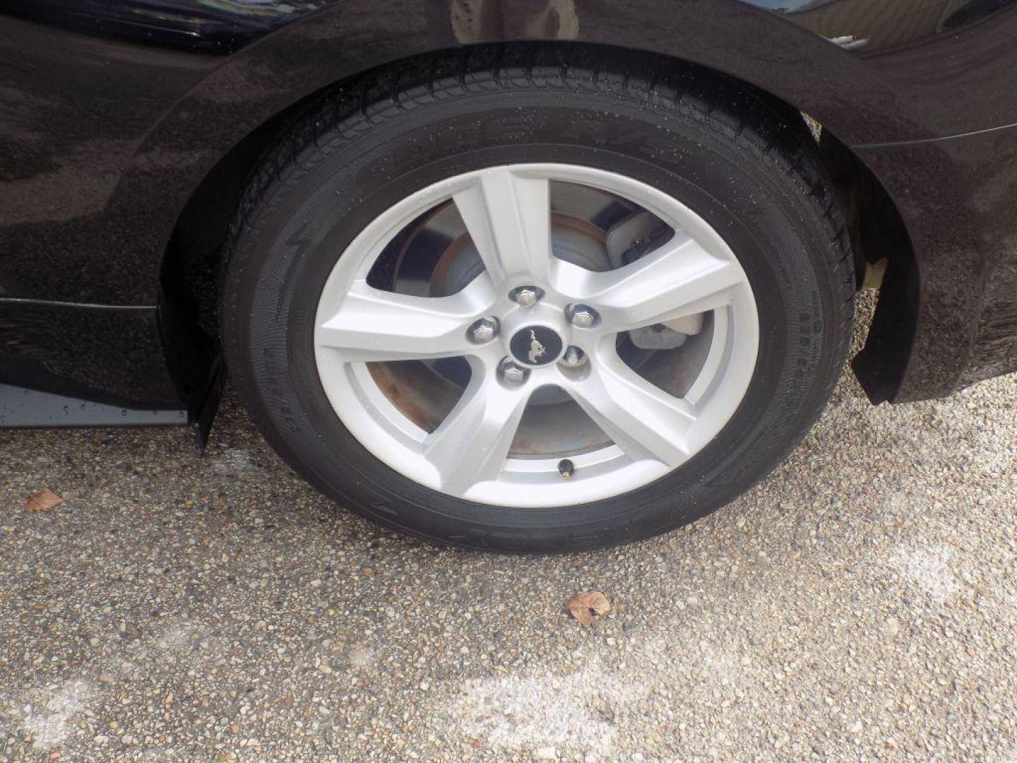 2016 BLACK FORD MUSTANG (1FA6P8AM2G5) with an 3.7L engine, Automatic transmission, located at 830 E. Canino Rd., Houston, TX, 77037, (281) 405-0440, 38.358219, -81.729942 - Photo#12