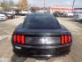 2016 BLACK FORD MUSTANG (1FA6P8AM2G5) with an 3.7L engine, Automatic transmission, located at 830 E. Canino Rd., Houston, TX, 77037, (281) 405-0440, 38.358219, -81.729942 - Photo#2