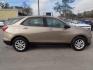 2019 GOLD CHEVROLET EQUINOX LS (2GNAXHEV9K6) with an 1.5L engine, Automatic transmission, located at 830 E. Canino Rd., Houston, TX, 77037, (281) 405-0440, 38.358219, -81.729942 - Photo#1